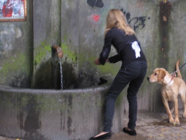 Skażone źródełko - Aleksandra Włodarczyk