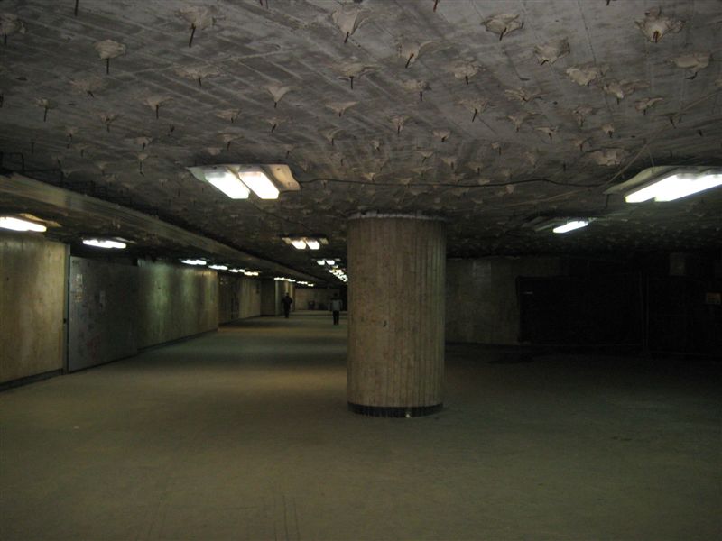 Kaponiera - Adam Michalkiewicz