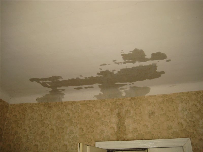 Niegolewskich Śruba - Adam Michalkiewicz