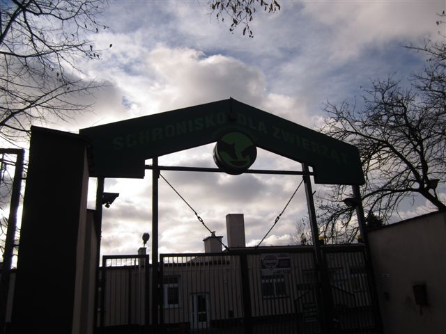 schronisko  - Magdalena Konieczna