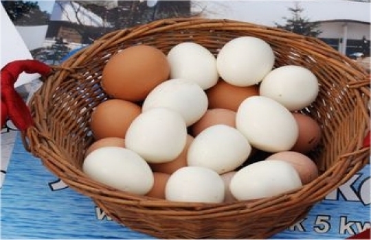 Jaja w koszu - Archiwum Radia Merkury