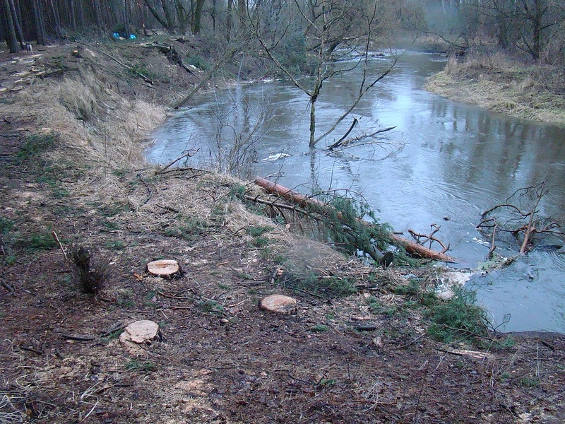 Kanał Mosiński - Małgorzata Kaptur