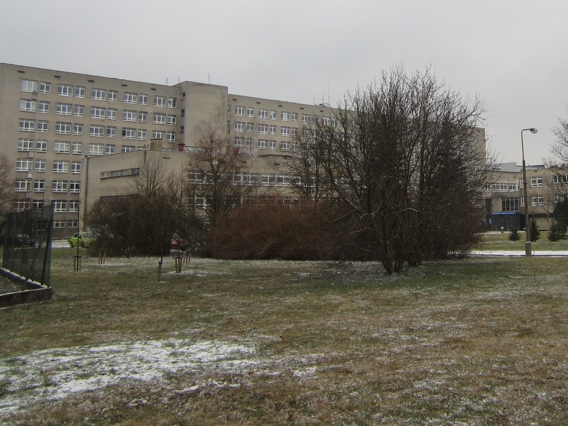 Szpital Lutycka - Anna Skoczek