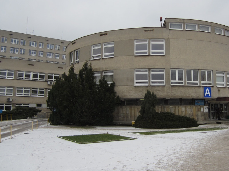 Szpital Lutycka - Anna Skoczek