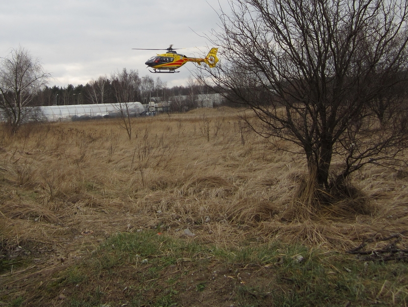 Zatrucie gazem w fabryce nawozów - Adam Michalkiewicz