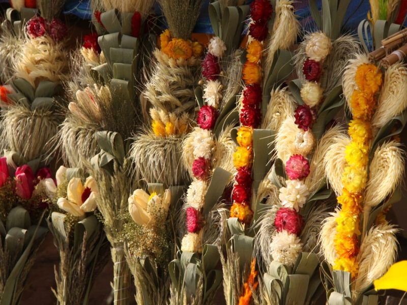 Kaziuk 2013  - Grzegorz Maciejewski