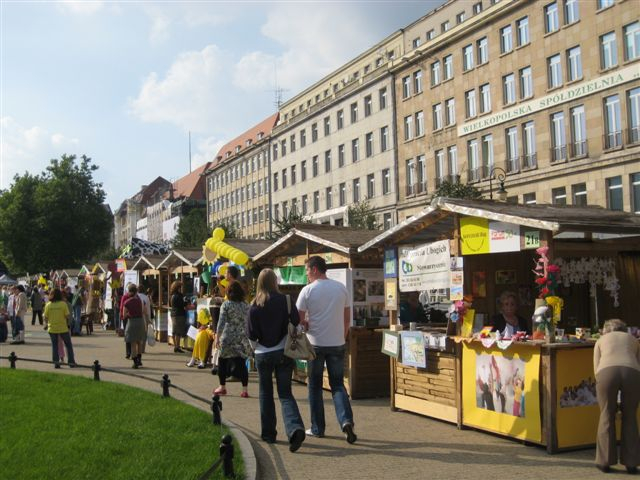 organizacje pozarządowe 2 - Alicja Łatka