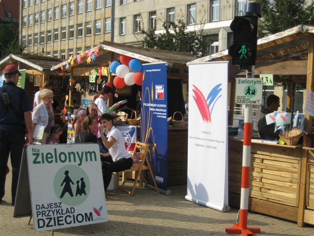 organizacje pozarządowe 1 - Alicja Łatka