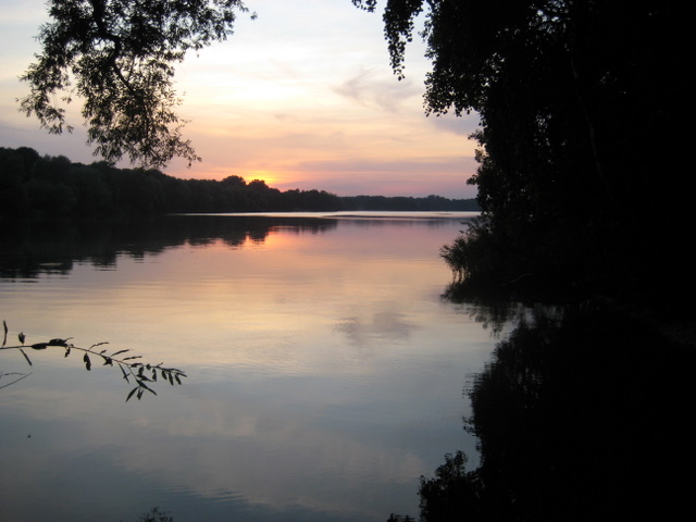 Rusałka - Jacek Butlewski