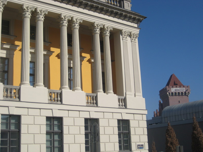 Biblioteka Raczyńskich (6) - Jacek Butlewski