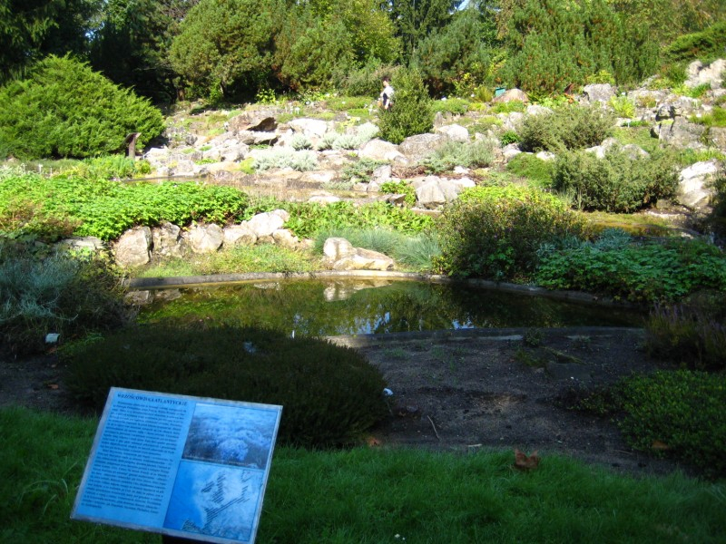 ogród botaniczny 2