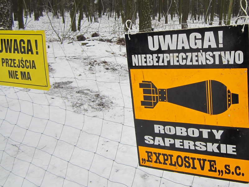 Saperzy w Kozichgłowach - Anna Skoczek