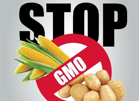 Stop GMO - Ministerstwo Rolnictwa