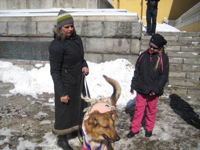 parada zwierzat poznann - Adam Michalkiewicz