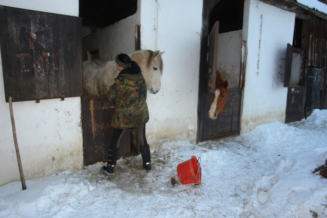 konie wygłodzone (3) - Grzegorz Bielawski 