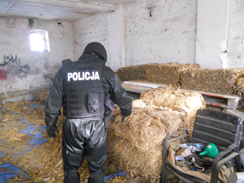 Fabryczka nielegalnego tytoniu - Złotów - KWP w Poznaniu