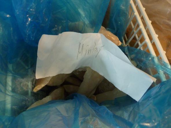 żywność fałszowana, ryba, chleb, pieczywo, jedzenie - WIH Poznań