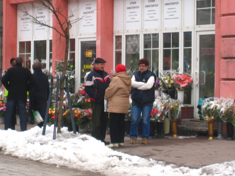 Stoiska kwiatowe, Gniezno - Rafał Muniak