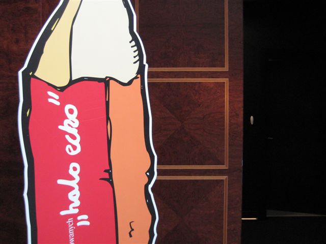 Halo echo 2013 (1) - Magdalena Konieczna