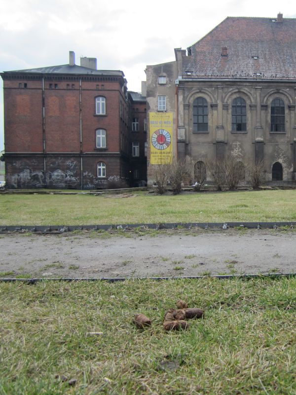 Wojciech Chmielewski