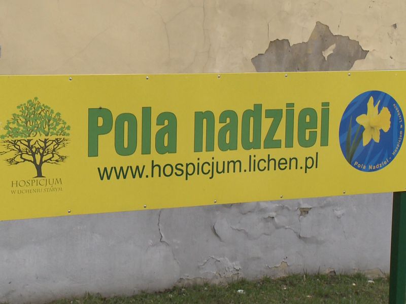 Pola nadziei 2 - Iwona Krzyżak