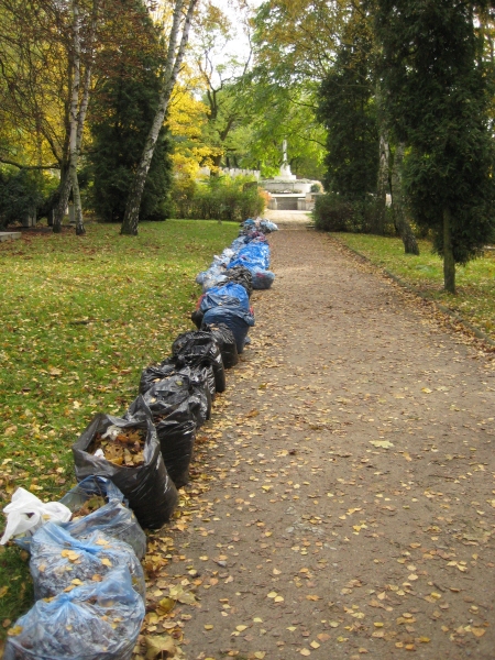 Sprzątanie Cytadeli - Anna Skoczek