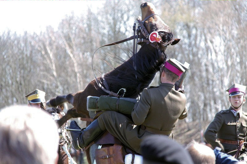 Dni Ułana 2013 - Grzegorz Maciejewski