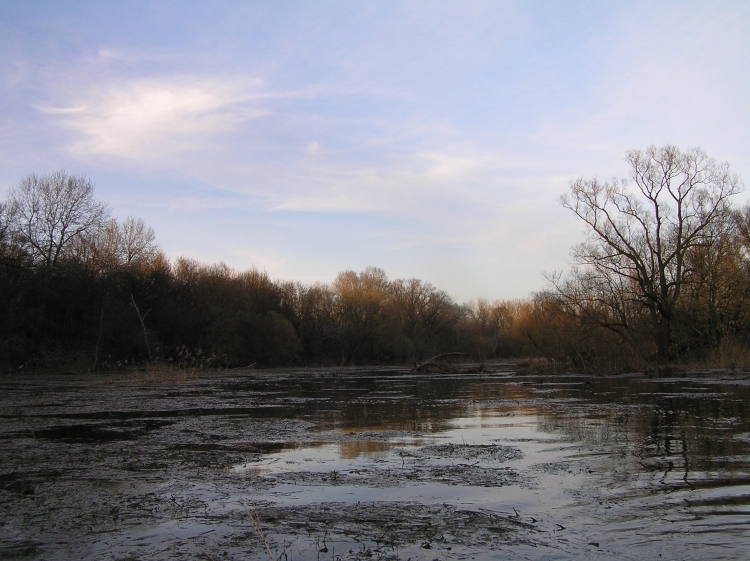 Spływ Cybiną - forteczny 2013 - Konrad Dąbrowski  - Porozumienie dla Twierdzy Poznań