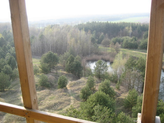 wielkopolski park narodowy (2) - Jacek Butlewski