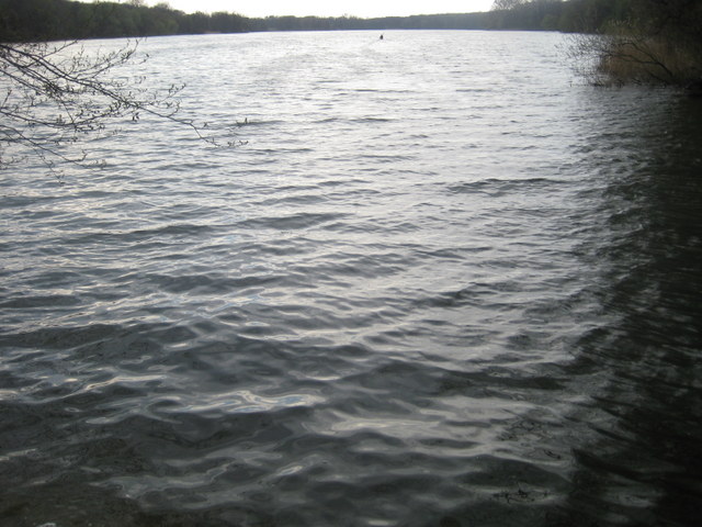 rusałka (1) - Jacek Butlewski