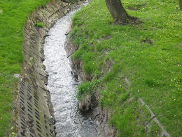 Bogdanka (1) - Jacek Butlewski