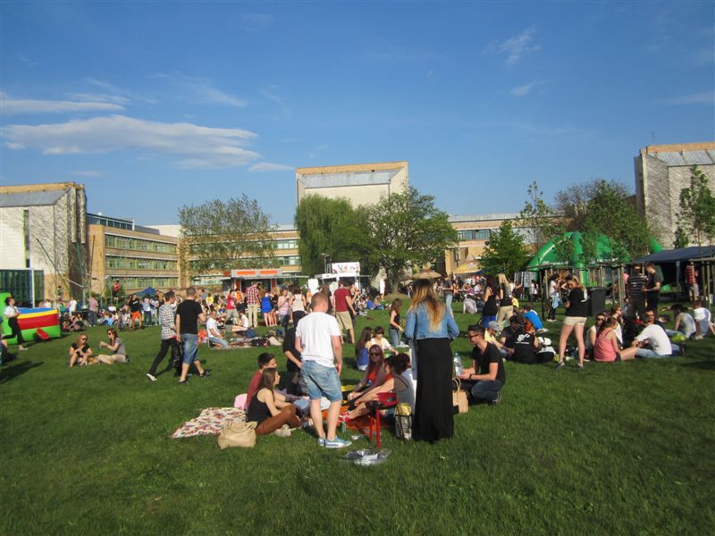 grillowanie_studenckie2031c - Adam Michalkiewicz