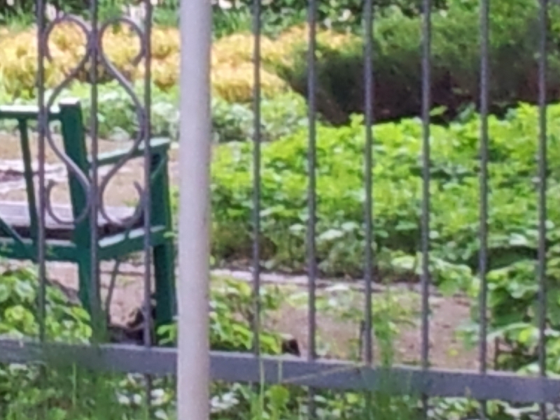 park_przy_serafitek - Grzegorz Ługawiak