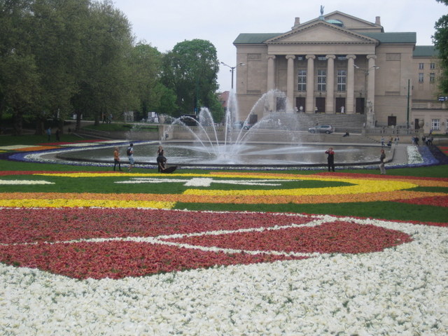 kwiaty w parku (15) - Jacek Butlewski