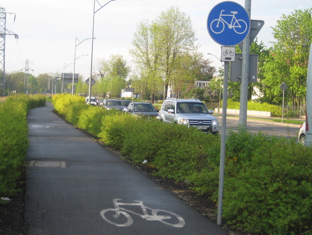 rower ścieżka rowerowa - Jacek Butlewski