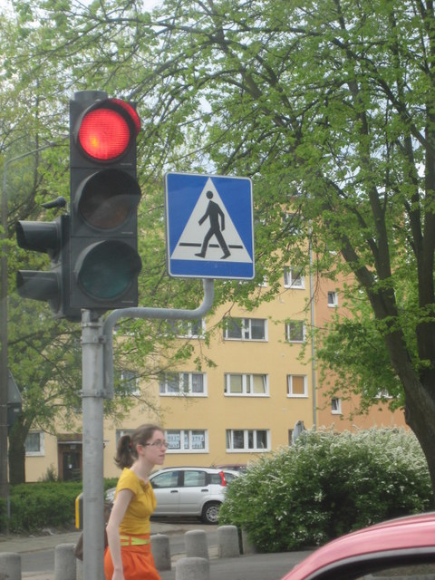 znak piesi - Jacek Butlewski