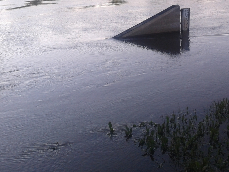 Wodowskaz, rzeka, wysoka woda - Szymon Mazur