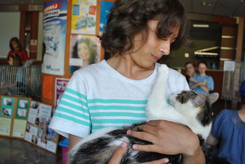 przygarnij kota - Iwona Krzyżak