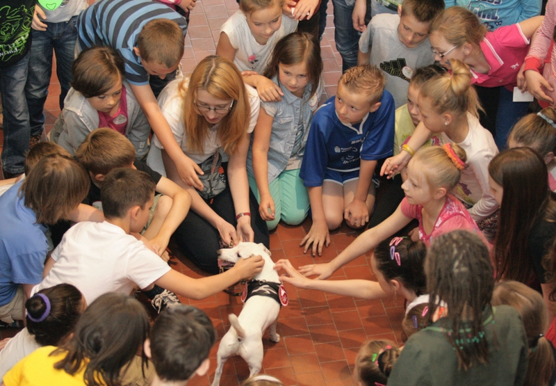 Dzień Korczaka - mały wolontariusz - pacia.com.pl