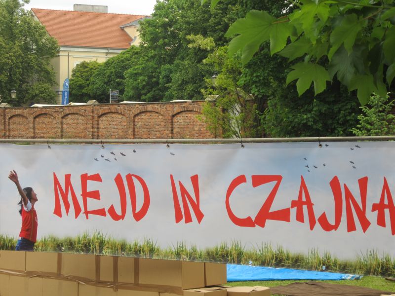 Aleksandra Włodarczyk