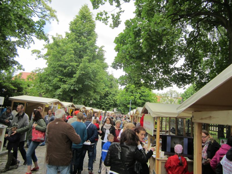 Aleksandra Włodarczyk