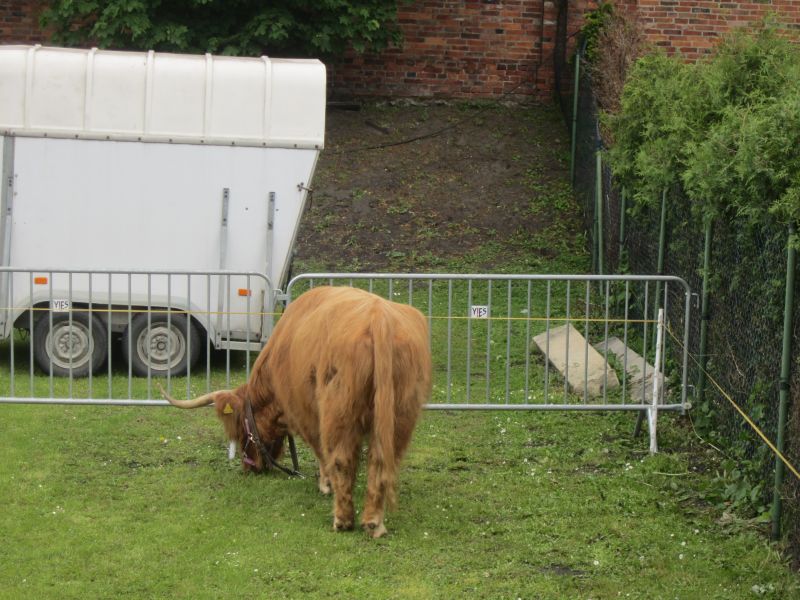 Aleksandra Włodarczyk