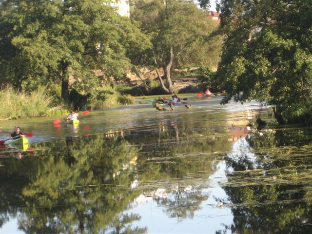 bez samochodu rzeka - Wiesława Pinkowska