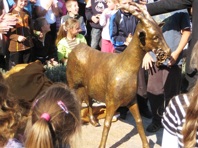 koza Dolsk 3 - Rafał Regulski