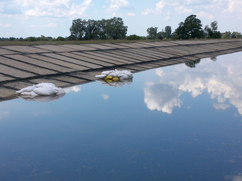 Zagrożenie powodziowe, Golina 2013 - Emilia Chudzińska