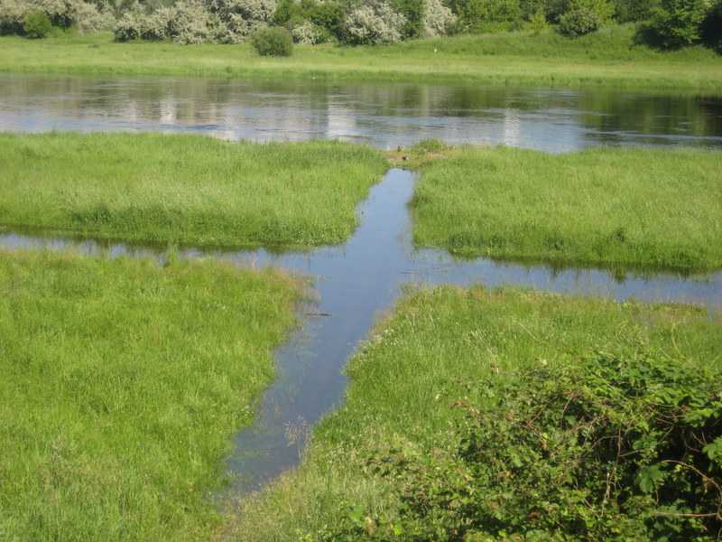 woda warta - Jacek Butlewski