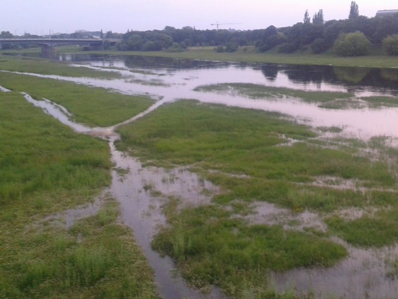 Rozlewiska rzeki Warty - Szymon Mazur