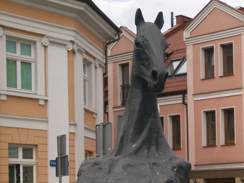 Konin - Emilia Chudzińska