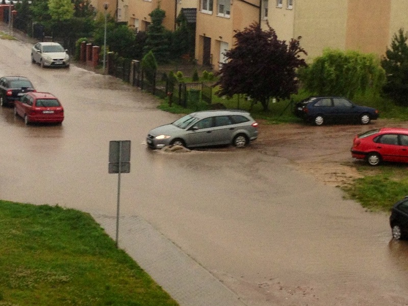 zdje_cie_zalane_plewiska