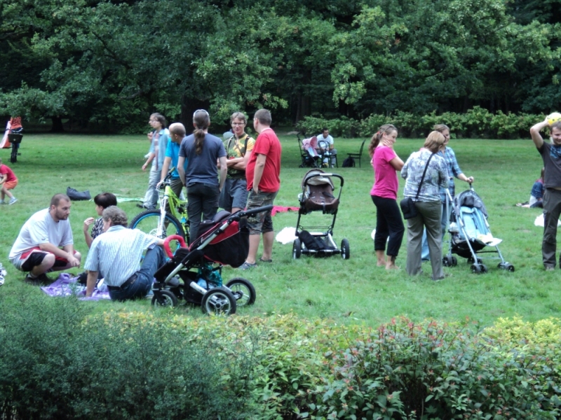 kultura na trawie 2 - www.kalisz.pl